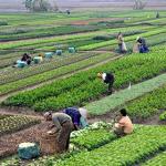 Conseil Agriculture