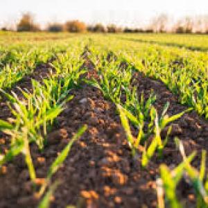 Conseil Agriculture