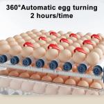 COUVEUSES :  INCUBATEUR DE 256 OEUFS
