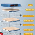 COUVEUSES :  INCUBATEUR DE 256 OEUFS