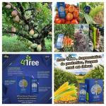 4 TREE Engrais biologique et bio-stimulant 100 % naturel